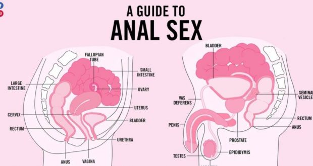 5 Tips For Anal Sex - Live Cam Experts