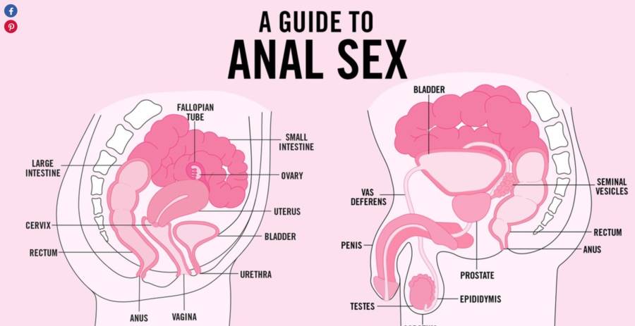 All about anal sex